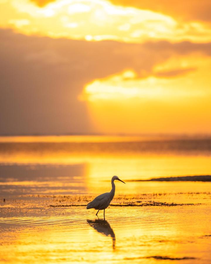 Hakuna Majiwe Beach Lodge Paje Luaran gambar