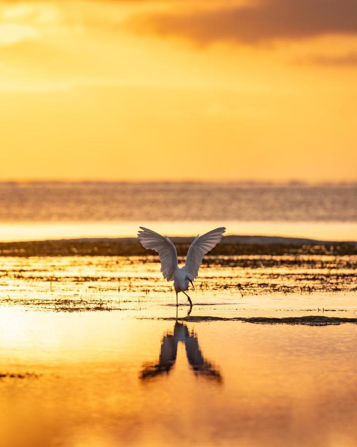 Hakuna Majiwe Beach Lodge Paje Luaran gambar