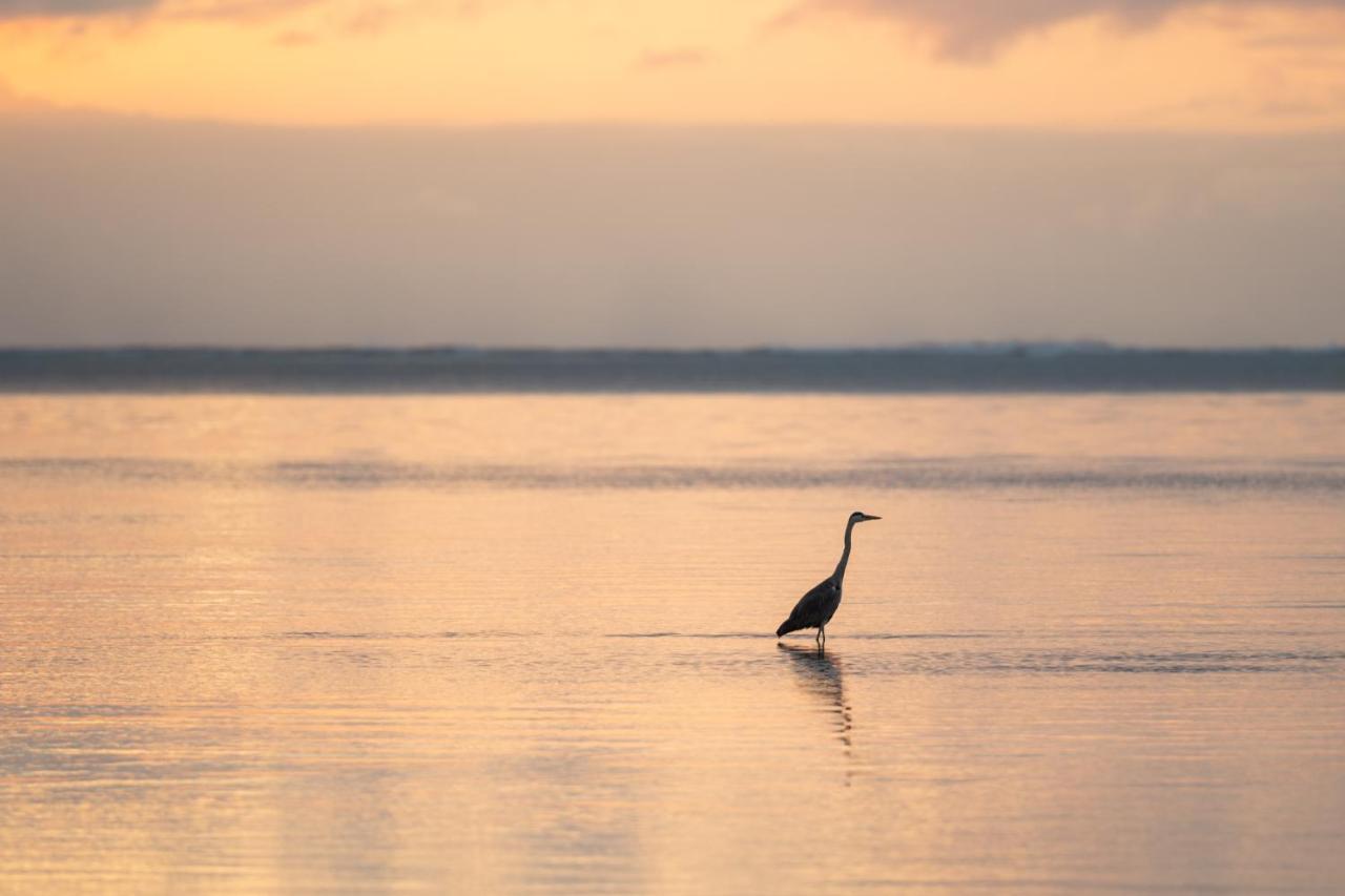 Hakuna Majiwe Beach Lodge Paje Luaran gambar